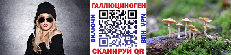 Галлюциногенные грибы MAGIC MUSHROOMS  закладки  Судак 