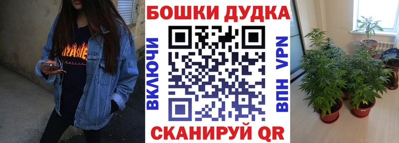 Конопля White Widow  мориарти Telegram  Судак 